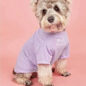 Small Dog Or Cat Pet Tee T-Shirt Best Friends Purple Clothing